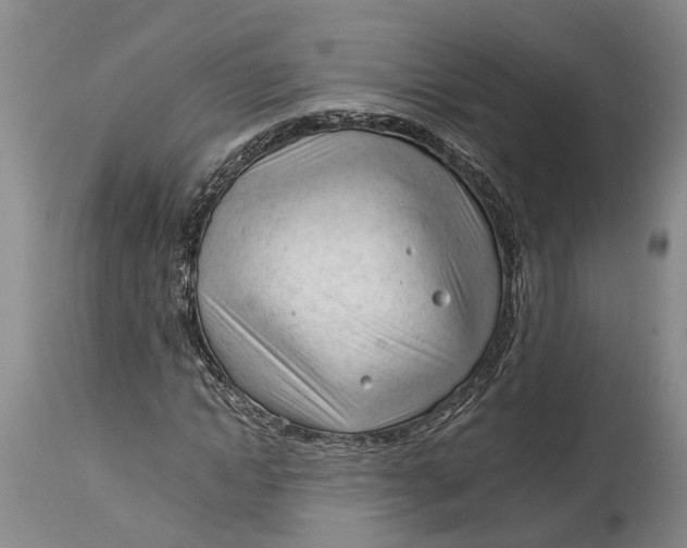 X0000114400822200911061535