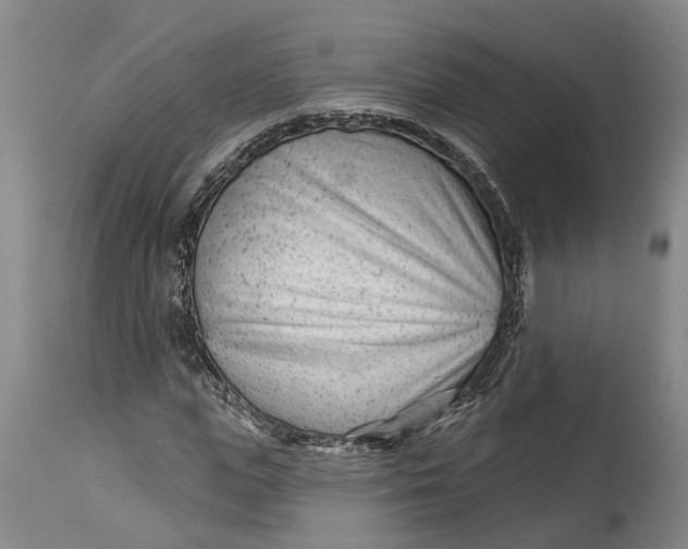 X0000114400823200911061535