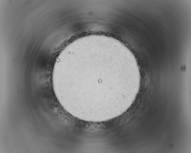 X0000114400824200911061535