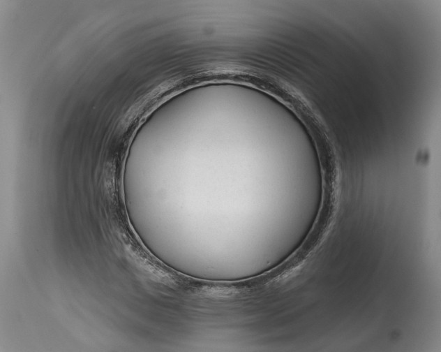 X0000114400825200911061535