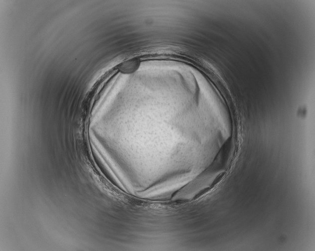 X0000114400827200911061535