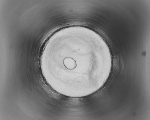 X0000114400828200911061535