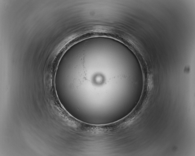 X0000114400829200911061535