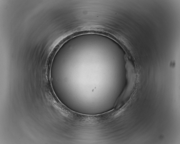 X0000114400830200911061536