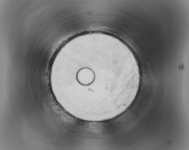 X0000114400832200911061536