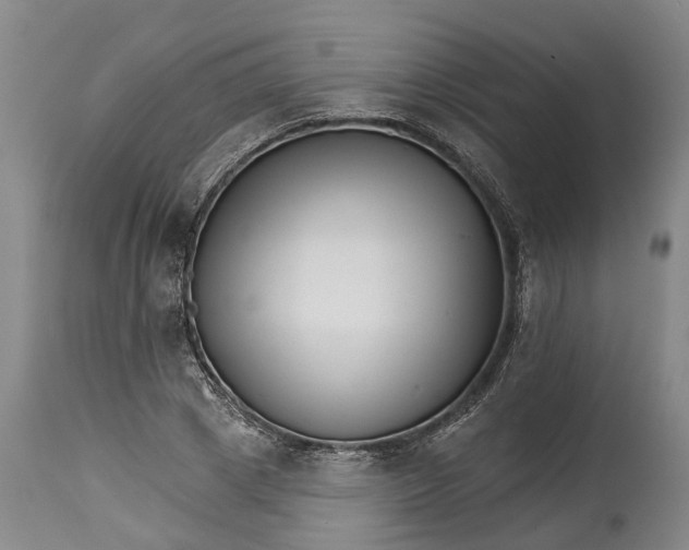 X0000114400833200911061536