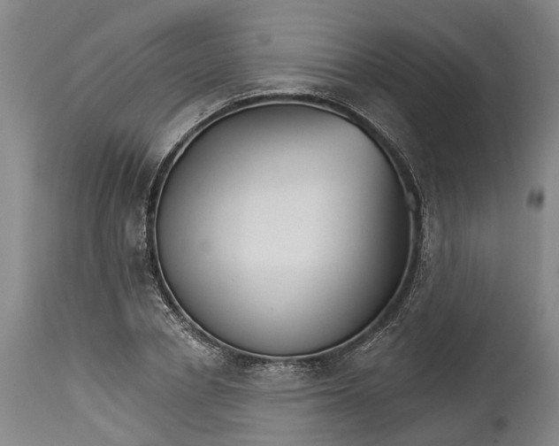 X0000114400834200911061536