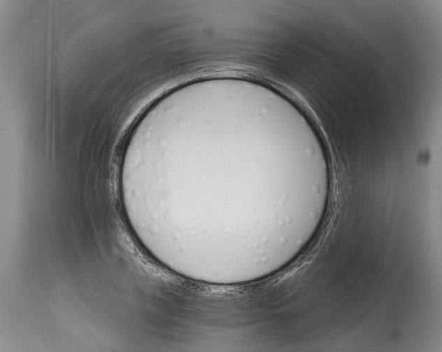 X0000114400835200911061536