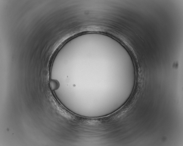 X0000114400837200911061536