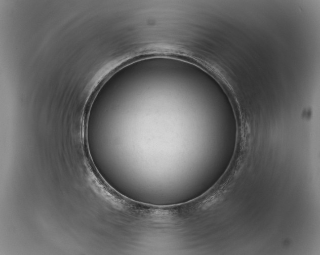 X0000114400839200911061536