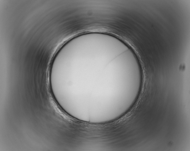 X0000114400840200911061536