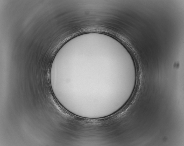 X0000114400841200911061536