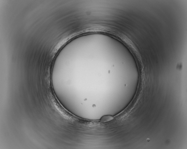 X0000114400842200911061536