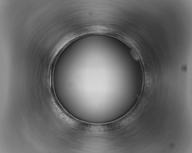 X0000114400843200911061536