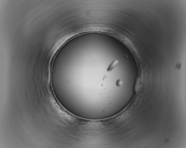 X0000114400844200911061536