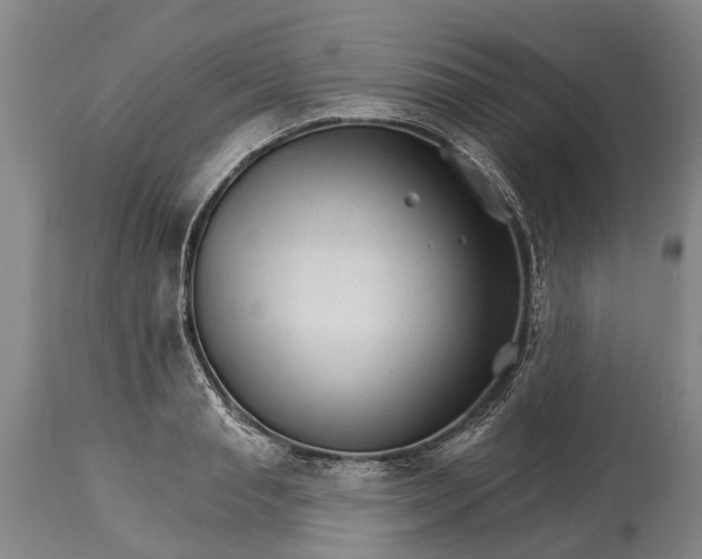 X0000114400845200911061536