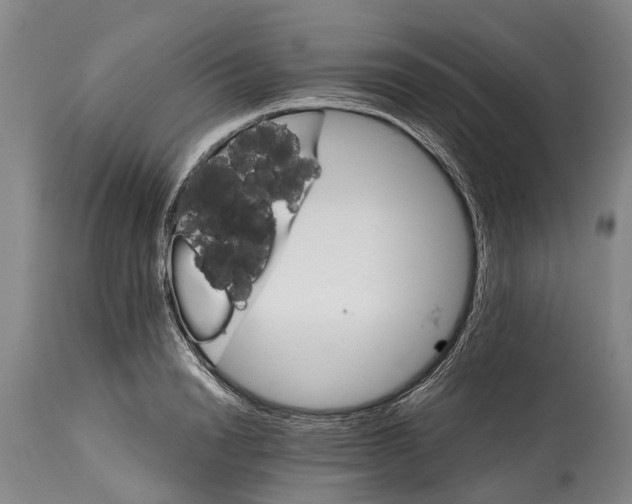 X0000114400846200911061536