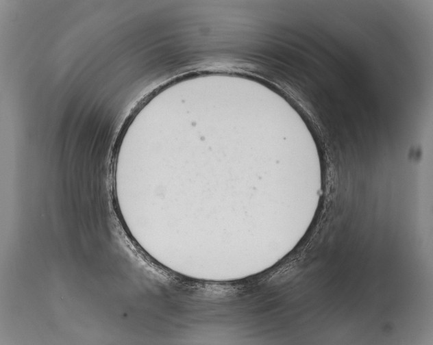 X0000114400848200911061536