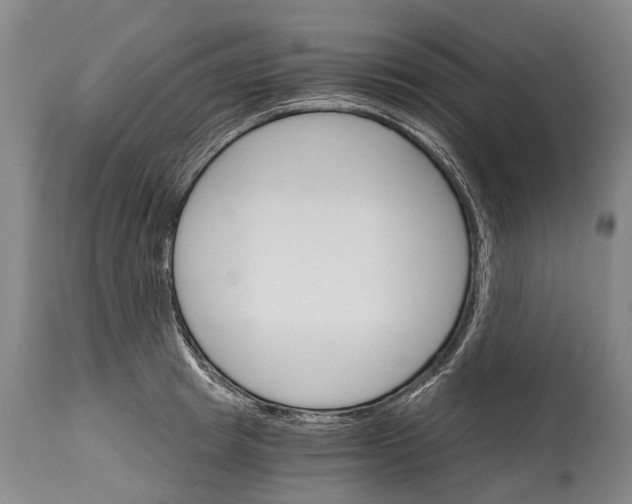 X0000114400849200911061536