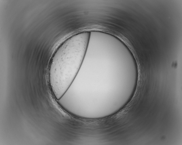 X0000114400850200911061536