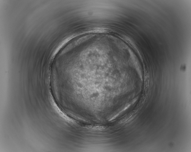 X0000114400851200911061536