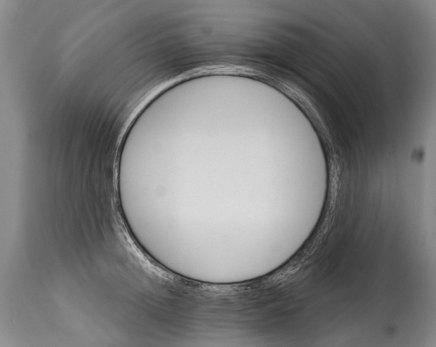 X0000114400852200911061536