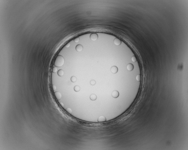 X0000114400853200911061536