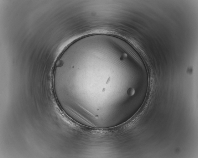 X0000114400854200911061536