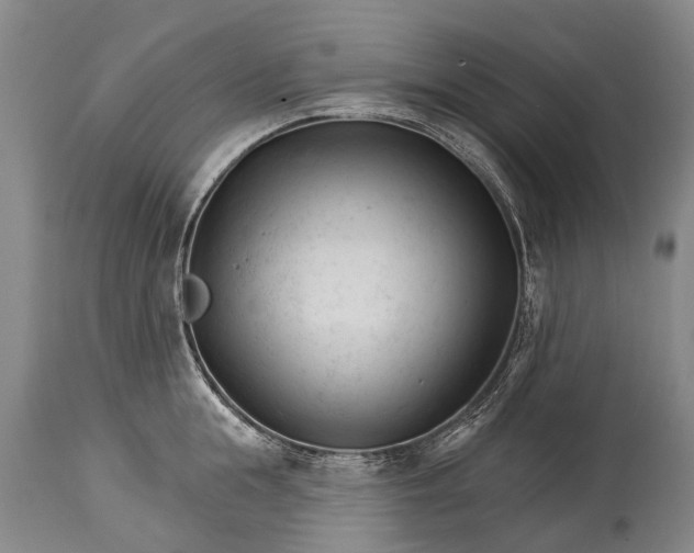 X0000114400855200911061536