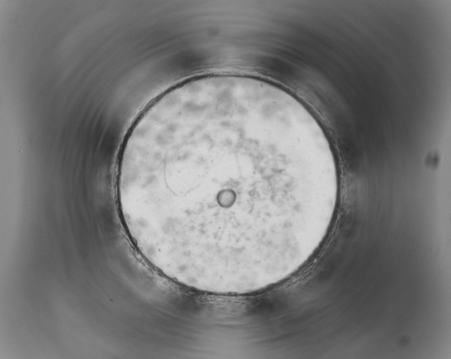 X0000114400856200911061536