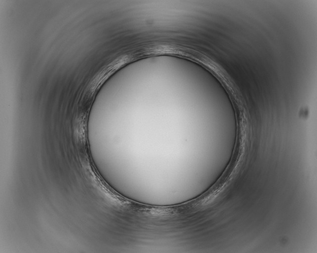 X0000114400857200911061536