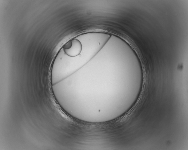 X0000114400858200911061536