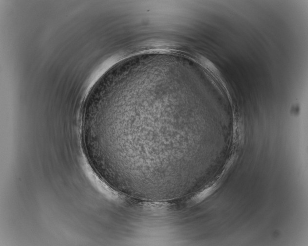 X0000114400859200911061536