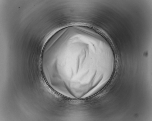 X0000114400860200911061536