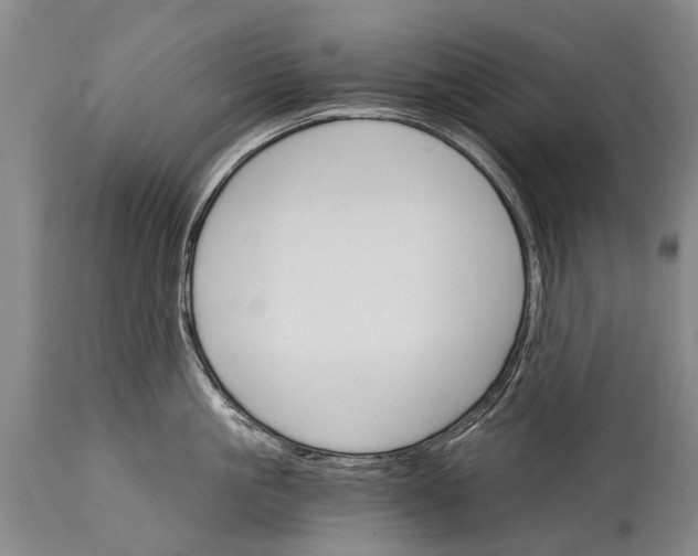 X0000114400861200911061536