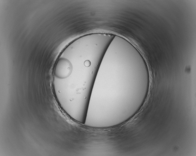 X0000114400862200911061536