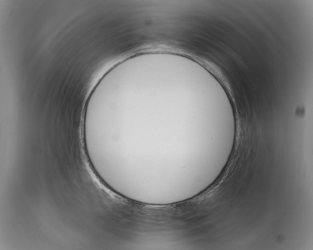 X0000114400863200911061536