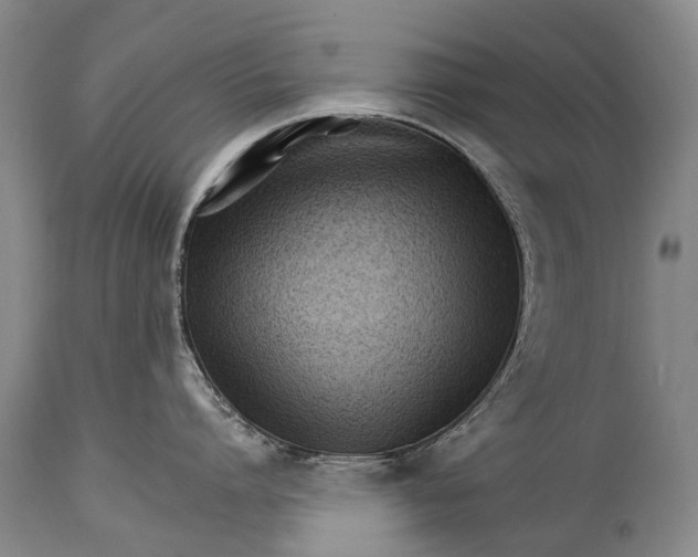 X0000114400864200911061536