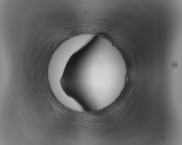 X0000114400865200911061535