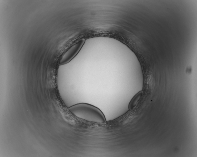 X0000114400868200911061535