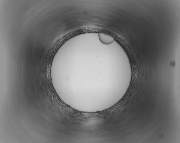 X0000114400870200911061535