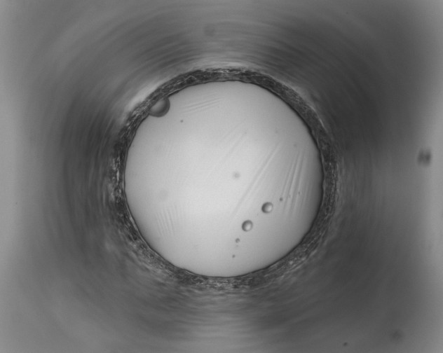 X0000114400871200911061535