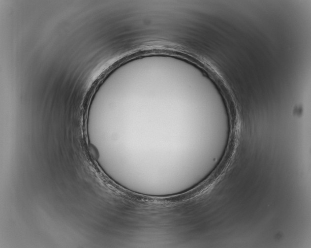 X0000114400877200911061535