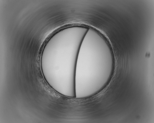 X0000114400879200911061535