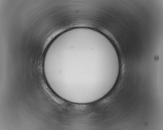 X0000114400882200911061535