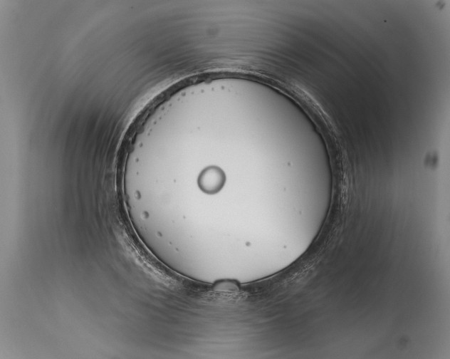 X0000114400884200911061535