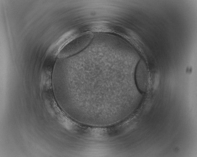 X0000114400889200911061535