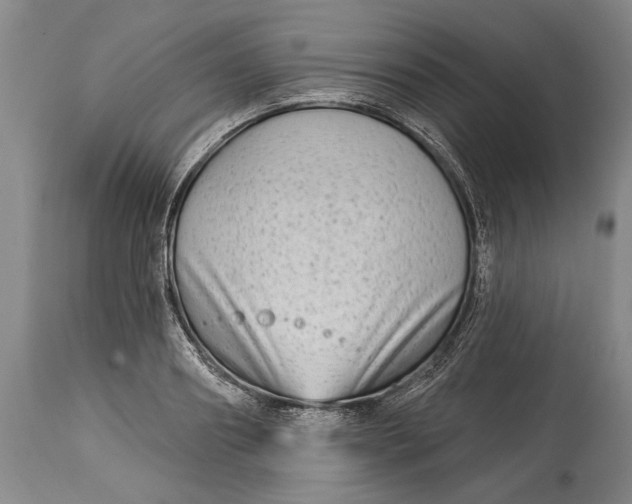 X0000114400890200911061535