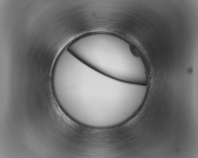 X0000114400892200911061535