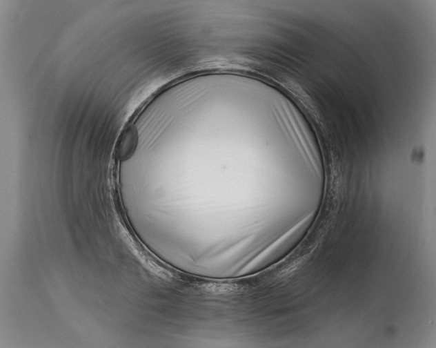 X0000114400893200911061535